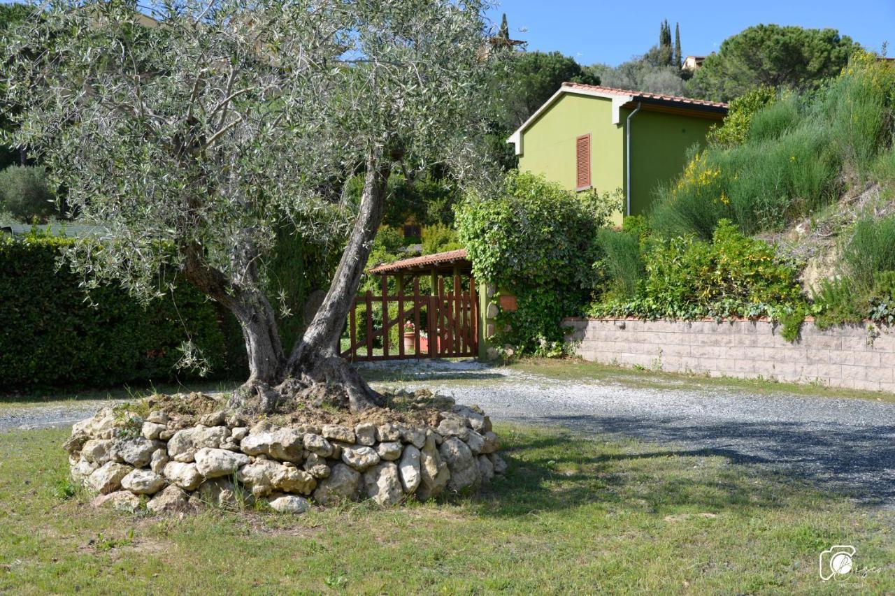 Casa Verde Country House Apartment Montescudaio Exterior photo