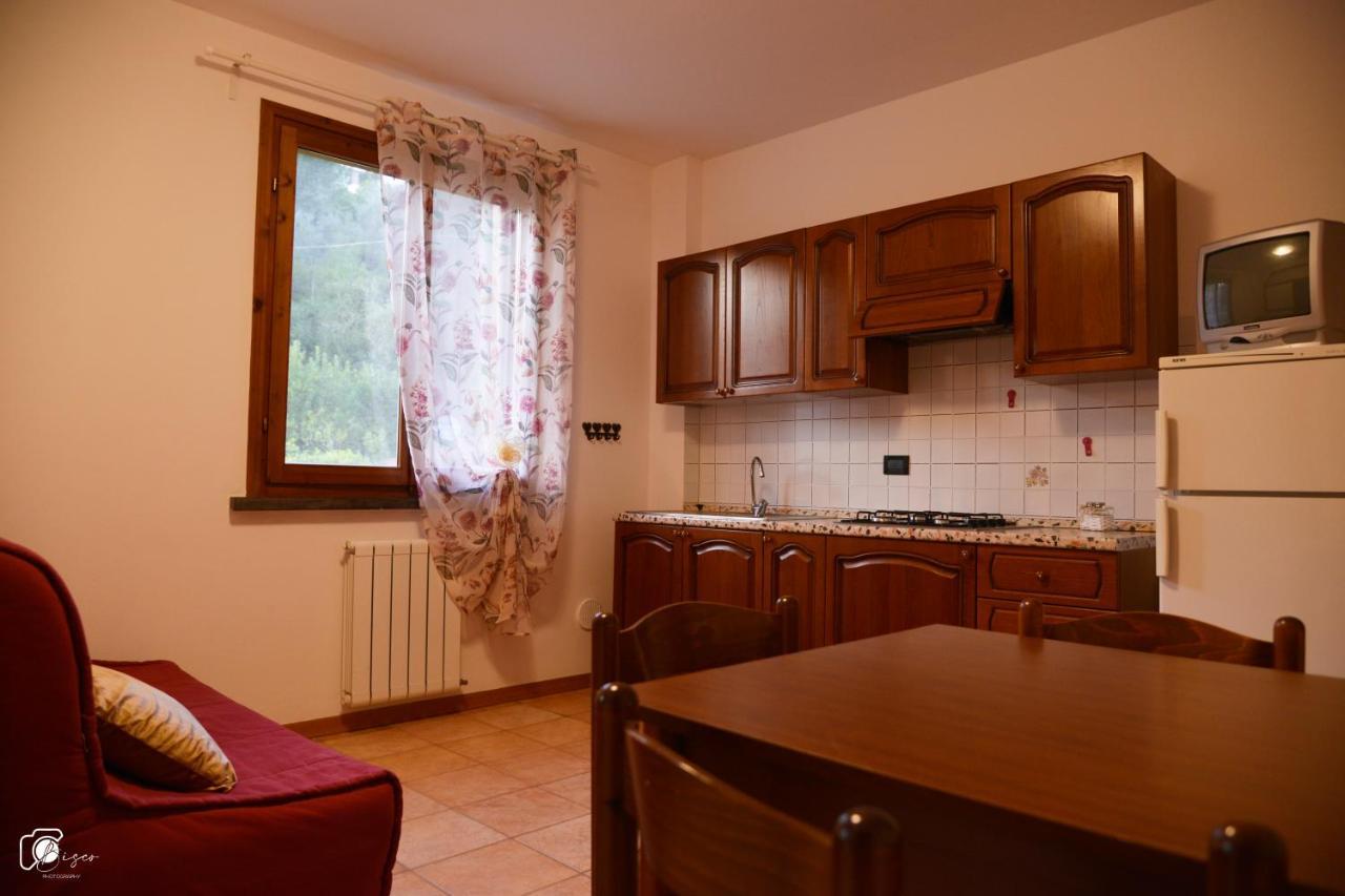 Casa Verde Country House Montescudaio Exterior photo