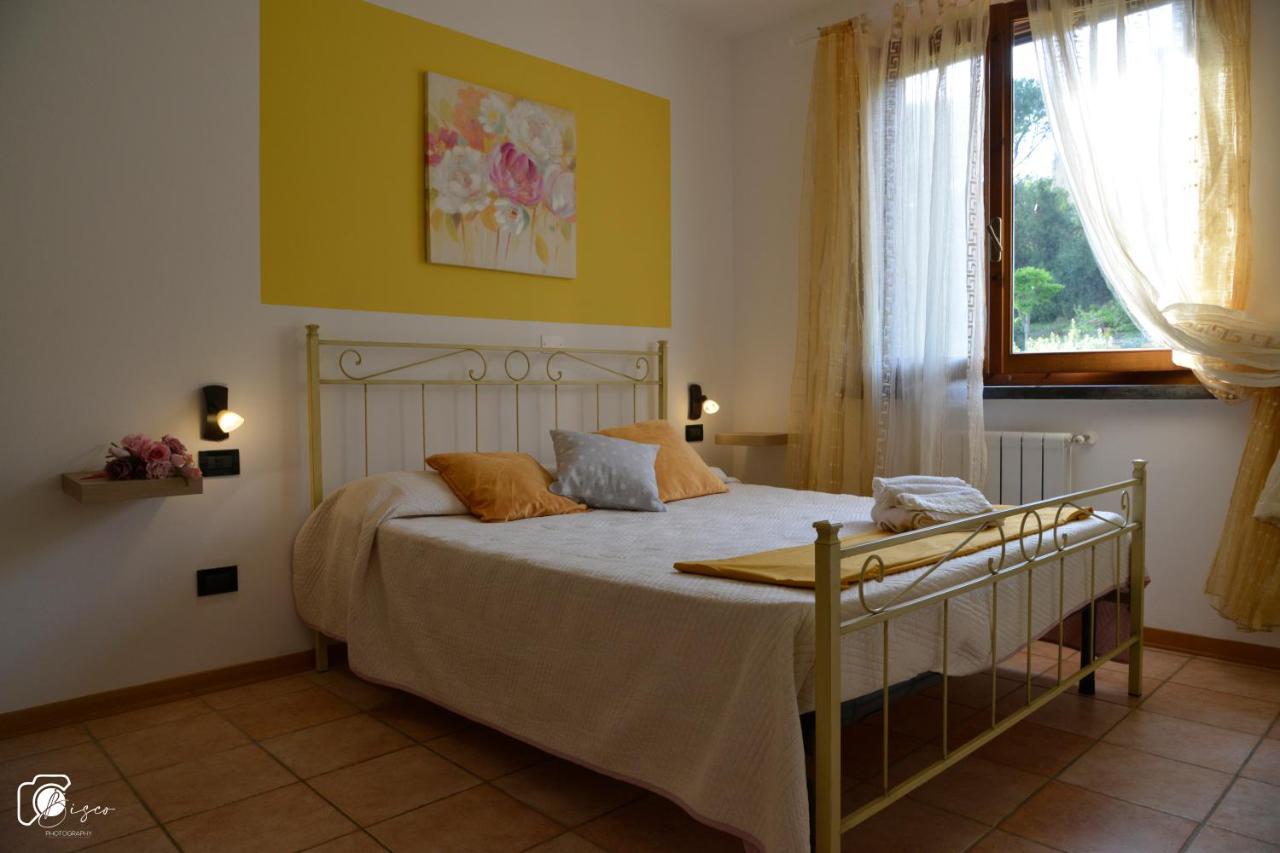 Casa Verde Country House Montescudaio Exterior photo