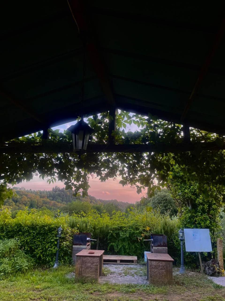 Casa Verde Country House Montescudaio Exterior photo