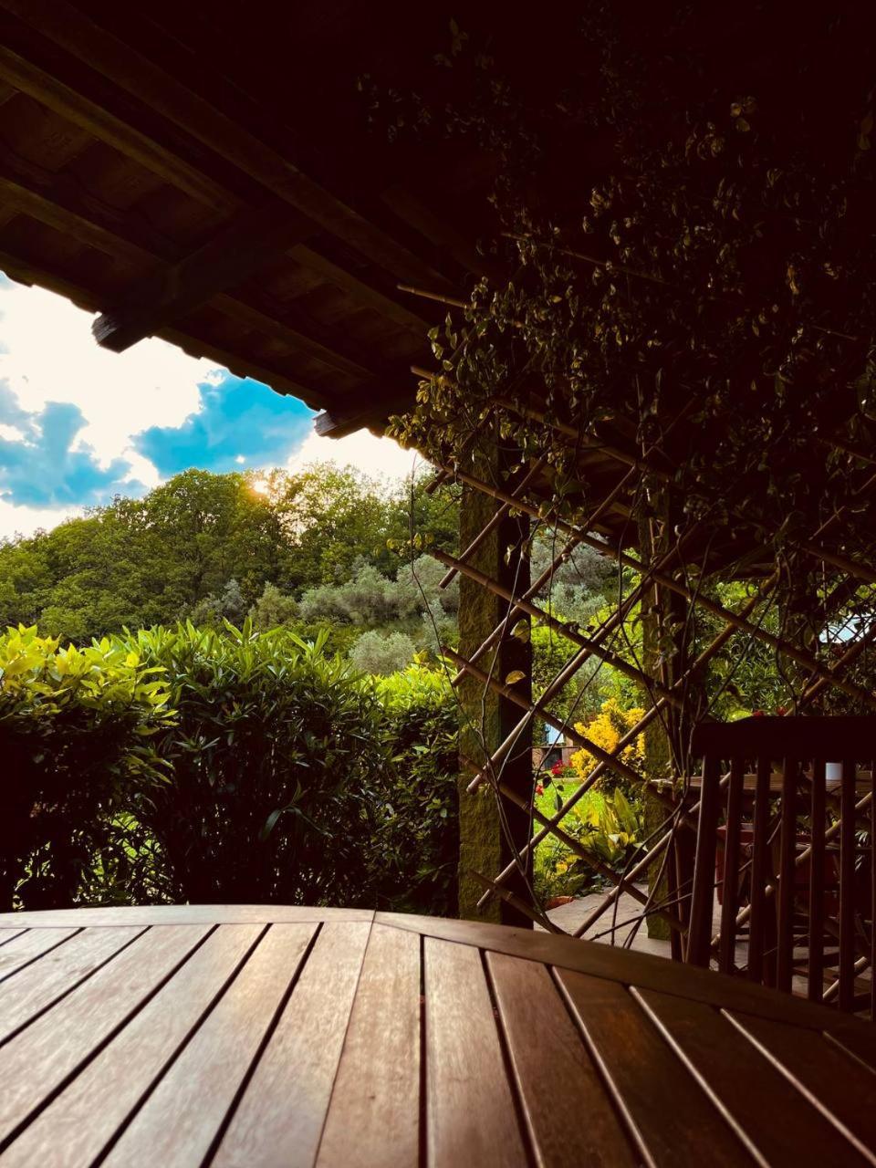Casa Verde Country House Montescudaio Exterior photo