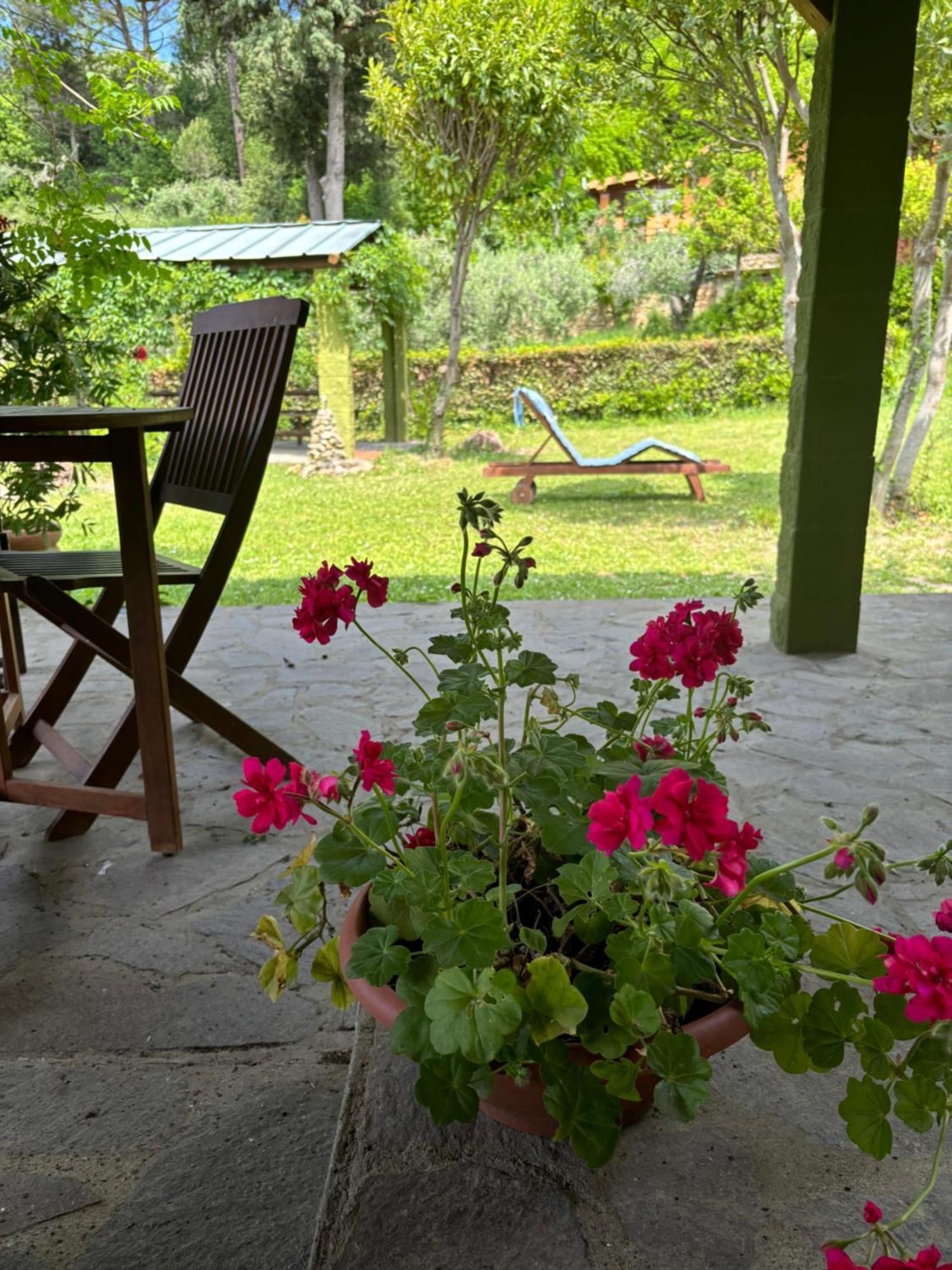 Casa Verde Country House Montescudaio Exterior photo